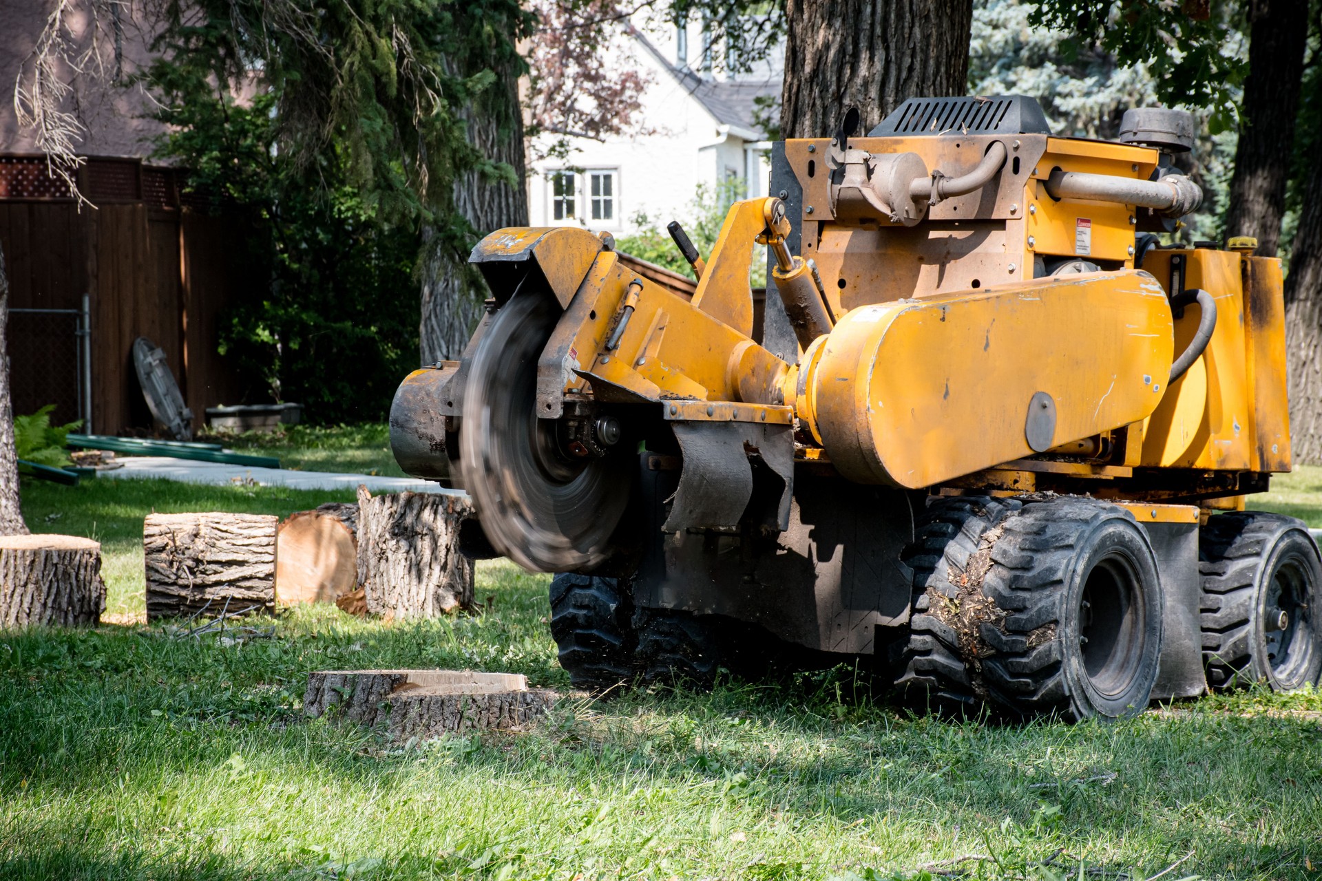 Stump Removal with a Stump Grinder